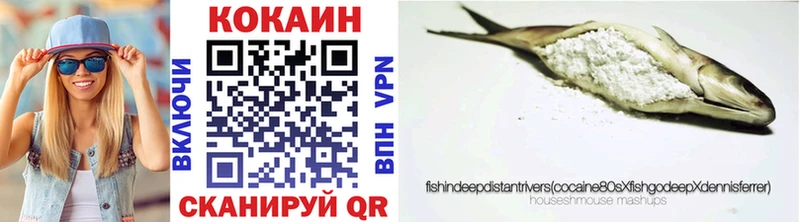Купить Дудинка КОКАИН Fish Scale