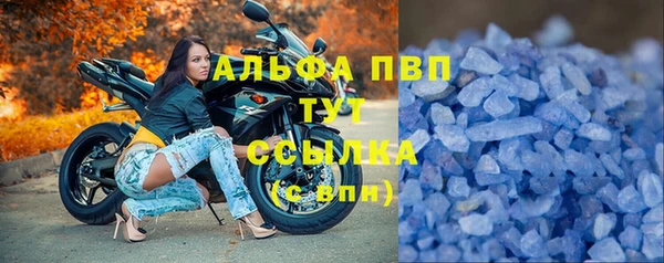 МДПВ Новосибирск