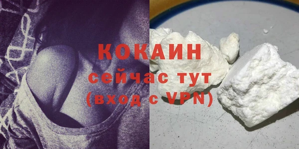 мдпв Козловка