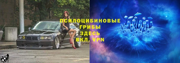 прущая мука Кодинск