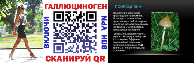 Псилоцибиновые грибы Psilocybine cubensis  Купить  Дудинка 
